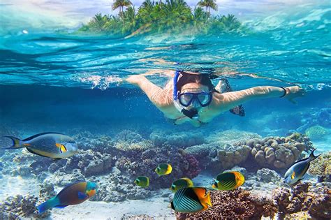 snorkeling cebu|THE TOP 10 Cebu Snorkeling (Prices from $36) .